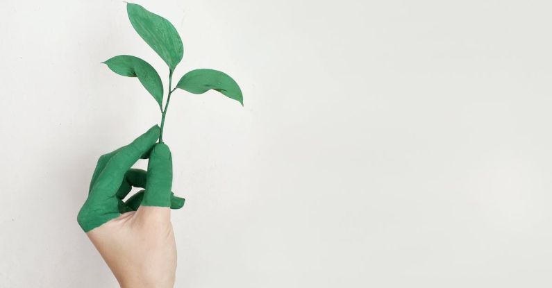 Sustainability Competitiveness - Person's Left Hand Holding Green Leaf Plant